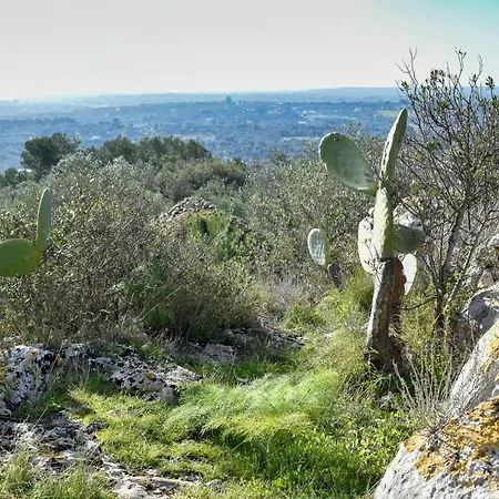 Terre D'amore - For Couples