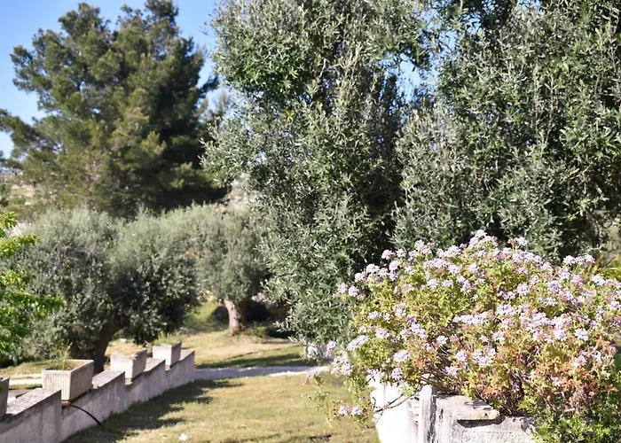 Terre D'amore - For Couples Hotell